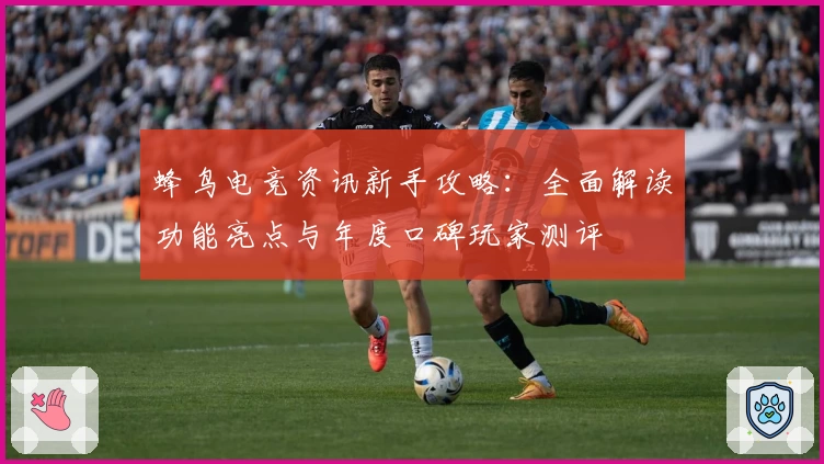 蜂鸟电竞资讯新手攻略：全面解读功能亮点与年度口碑玩家测评