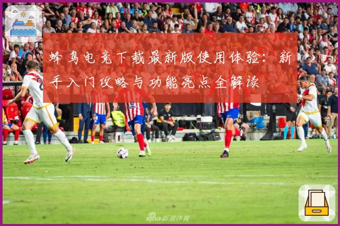 蜂鸟电竞下载最新版使用体验：新手入门攻略与功能亮点全解读