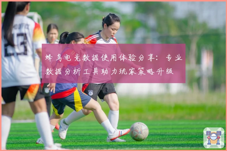 蜂鸟电竞数据使用体验分享：专业数据分析工具助力玩家策略升级