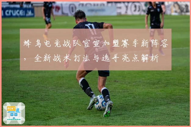 蜂鸟电竞战队官宣加盟赛季新阵容，全新战术打法与选手亮点解析