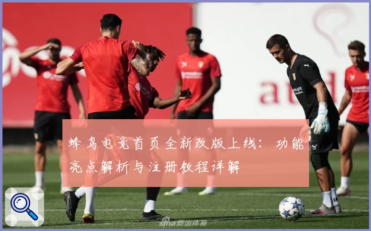 蜂鸟电竞首页全新改版上线：功能亮点解析与注册教程详解