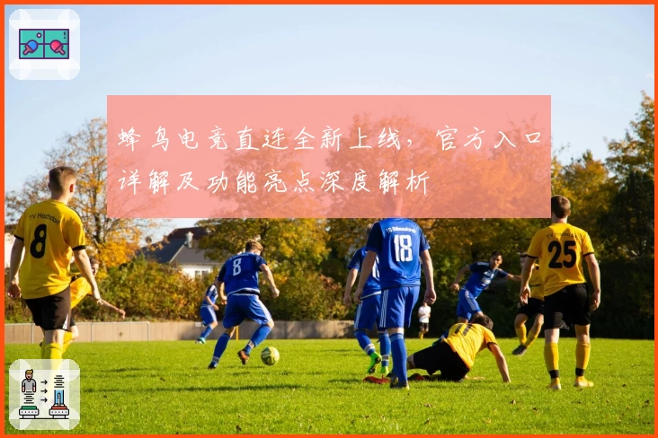蜂鸟电竞直连全新上线，官方入口详解及功能亮点深度解析