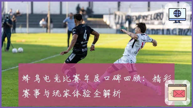蜂鸟电竞比赛年度口碑回顾：精彩赛事与玩家体验全解析