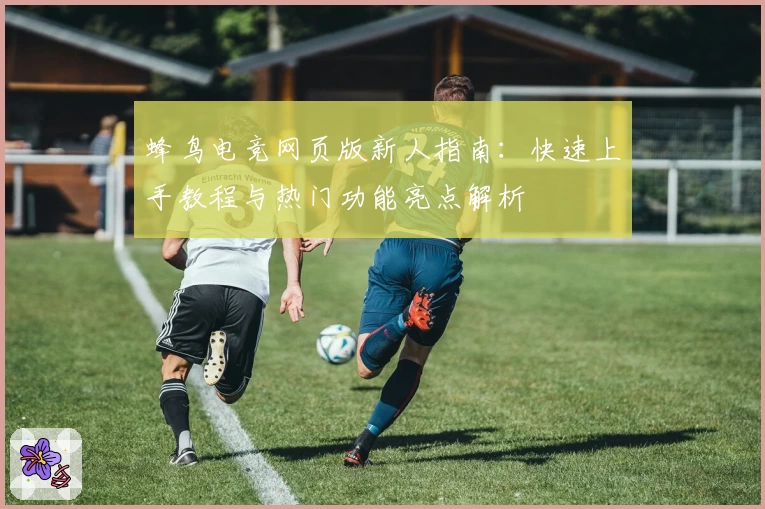 蜂鸟电竞网页版新人指南：快速上手教程与热门功能亮点解析
