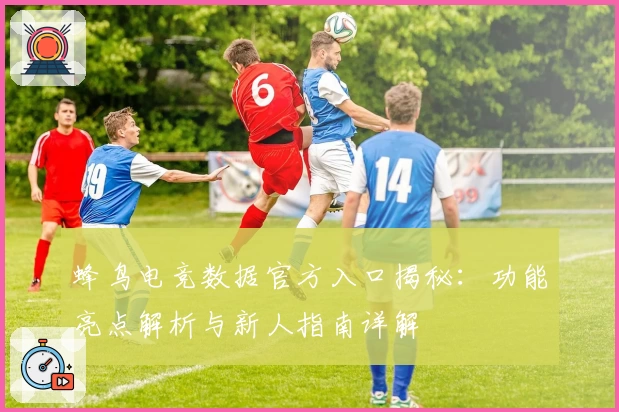 蜂鸟电竞数据官方入口揭秘：功能亮点解析与新人指南详解