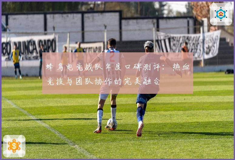 蜂鸟电竞战队年度口碑测评：热血竞技与团队协作的完美融合