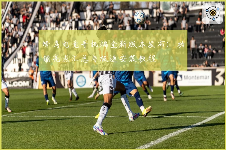 蜂鸟电竞手机端全新版本发布：功能亮点汇总与极速安装教程