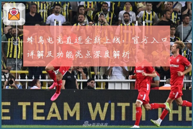 蜂鸟电竞直连全新上线，官方入口详解及功能亮点深度解析