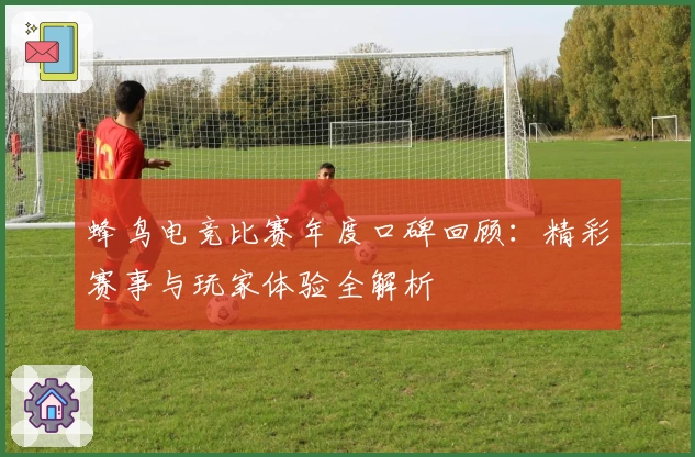 蜂鸟电竞比赛年度口碑回顾：精彩赛事与玩家体验全解析