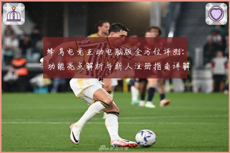 蜂鸟电竞互动电脑版全方位评测：功能亮点解析与新人注册指南详解