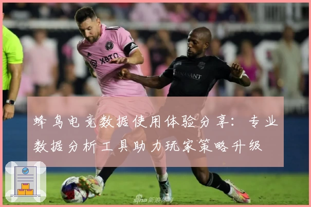 蜂鸟电竞数据使用体验分享：专业数据分析工具助力玩家策略升级