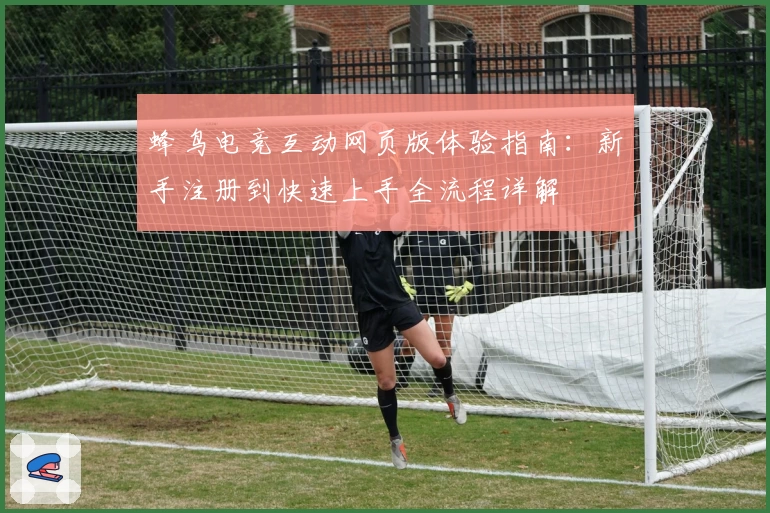 蜂鸟电竞互动网页版体验指南：新手注册到快速上手全流程详解