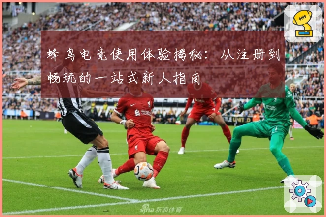 蜂鸟电竞使用体验揭秘：从注册到畅玩的一站式新人指南