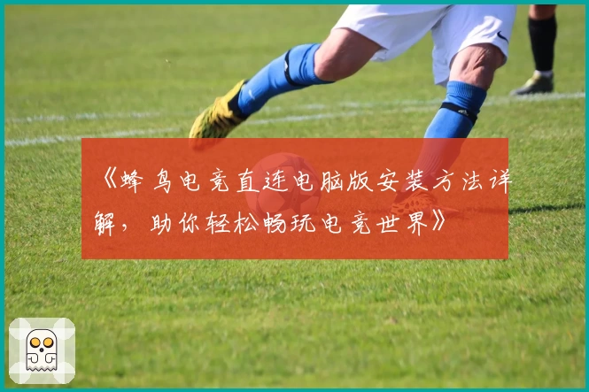 《蜂鸟电竞直连电脑版安装方法详解，助你轻松畅玩电竞世界》