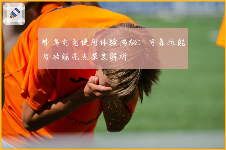 蜂鸟电竞使用体验揭秘:可靠性能与功能亮点深度解析