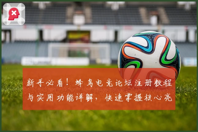 新手必看！蜂鸟电竞论坛注册教程与实用功能详解，快速掌握核心亮点