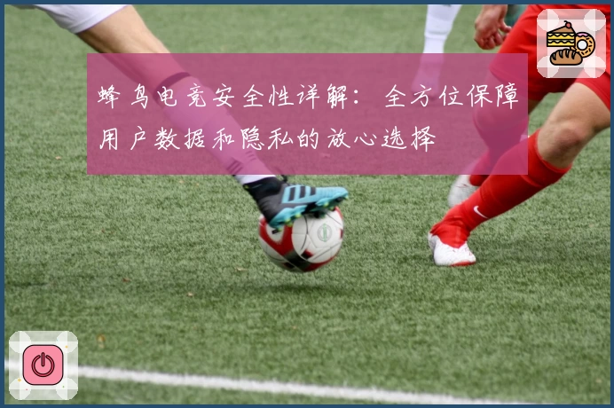 蜂鸟电竞安全性详解:全方位保障用户数据和隐私的放心选择