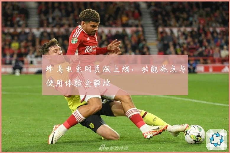 蜂鸟电竞网页版上线，功能亮点与使用体验全解读