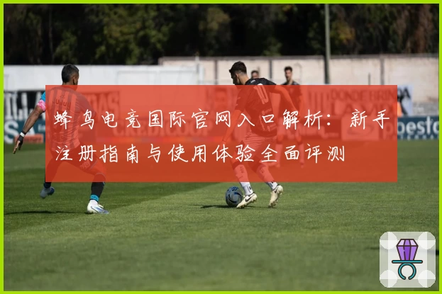 蜂鸟电竞国际官网入口解析:新手注册指南与使用体验全面评测