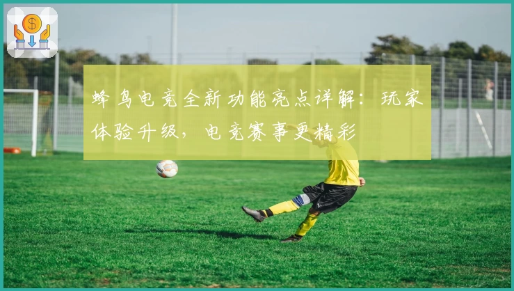 蜂鸟电竞全新功能亮点详解：玩家体验升级，电竞赛事更精彩