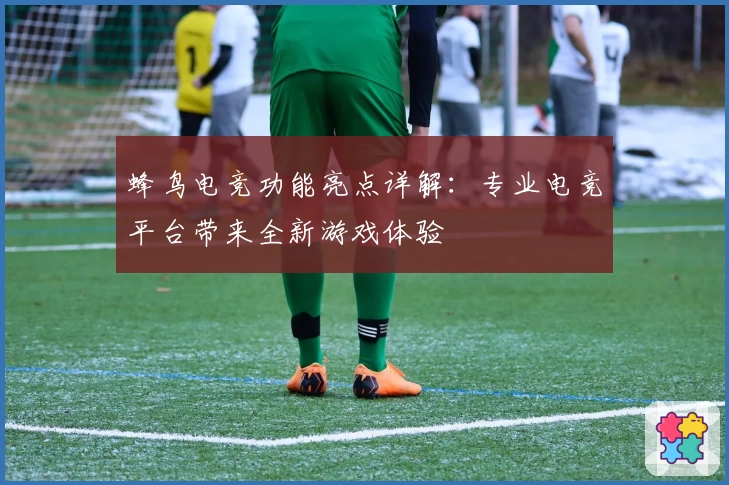 蜂鸟电竞功能亮点详解：专业电竞平台带来全新游戏体验