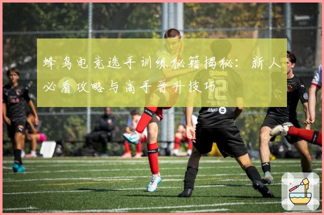 蜂鸟电竞选手训练秘籍揭秘：新人必看攻略与高手晋升技巧