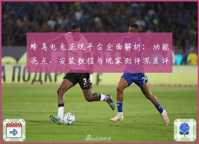 蜂鸟电竞正规平台全面解析：功能亮点、安装教程与玩家测评深度评估