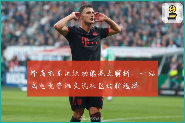 蜂鸟电竞论坛功能亮点解析：一站式电竞资讯交流社区的新选择
