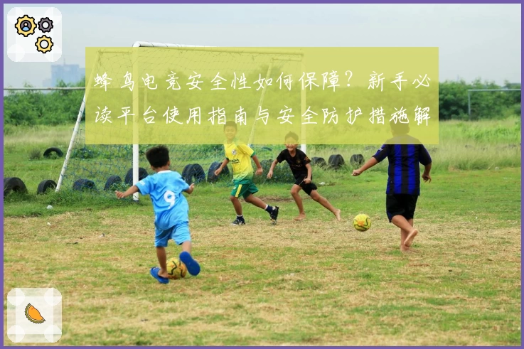 蜂鸟电竞安全性如何保障？新手必读平台使用指南与安全防护措施解析