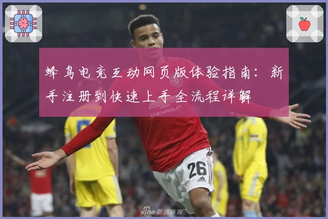 蜂鸟电竞互动网页版体验指南：新手注册到快速上手全流程详解