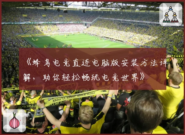 《蜂鸟电竞直连电脑版安装方法详解，助你轻松畅玩电竞世界》