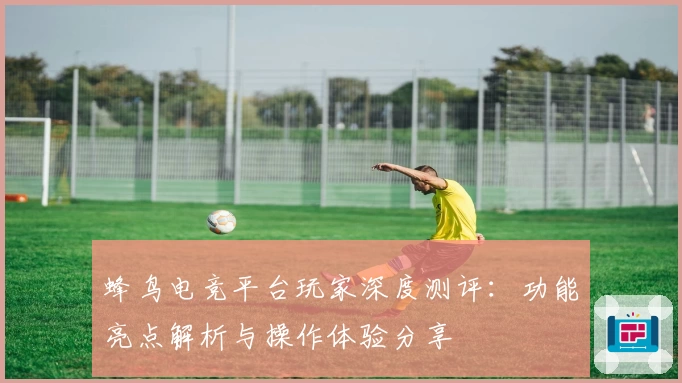 蜂鸟电竞平台玩家深度测评：功能亮点解析与操作体验分享