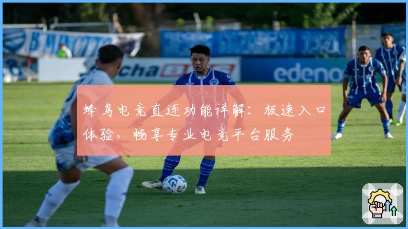 蜂鸟电竞直连功能详解：极速入口体验，畅享专业电竞平台服务