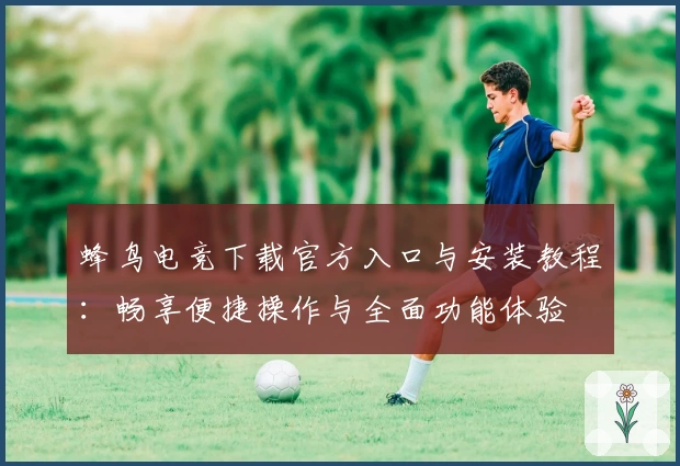 蜂鸟电竞下载官方入口与安装教程：畅享便捷操作与全面功能体验