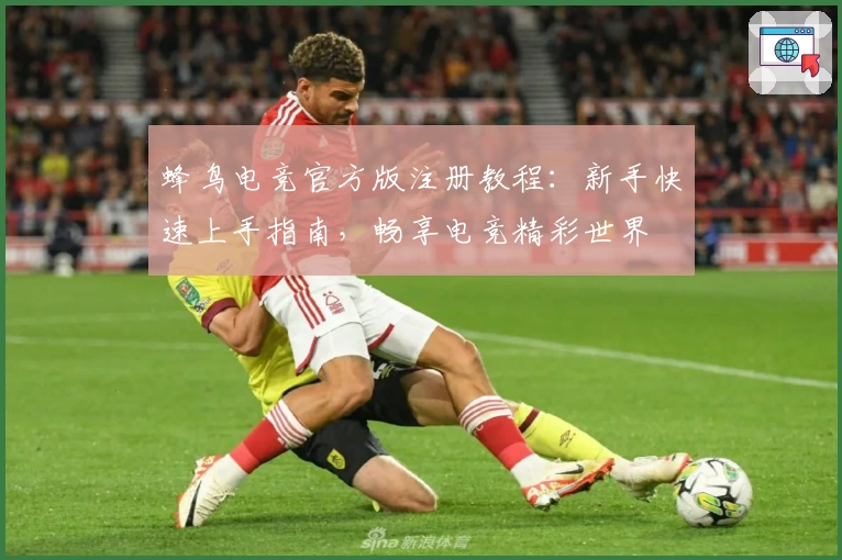 蜂鸟电竞官方版注册教程：新手快速上手指南，畅享电竞精彩世界