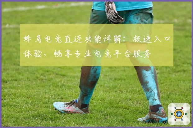 蜂鸟电竞直连功能详解：极速入口体验，畅享专业电竞平台服务