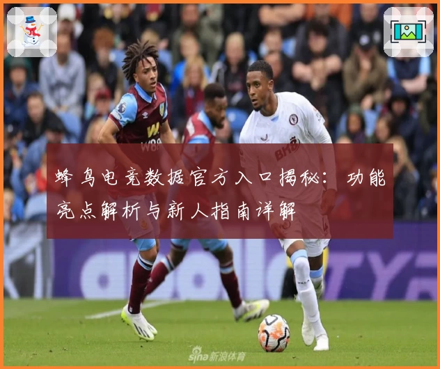 蜂鸟电竞数据官方入口揭秘：功能亮点解析与新人指南详解