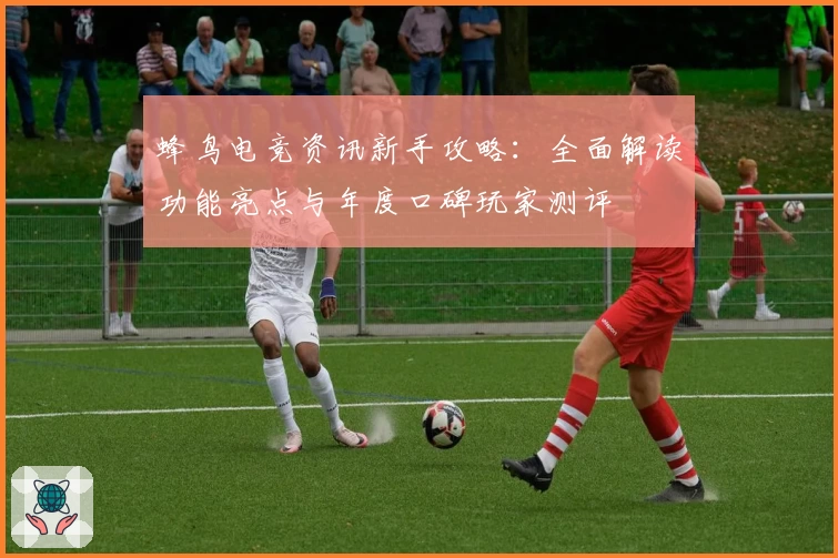 蜂鸟电竞资讯新手攻略：全面解读功能亮点与年度口碑玩家测评