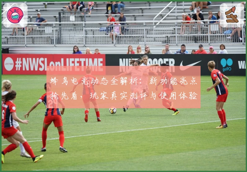 蜂鸟电竞动态全解析：新功能亮点抢先看，玩家真实测评与使用体验揭秘