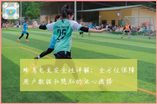 蜂鸟电竞安全性详解:全方位保障用户数据和隐私的放心选择