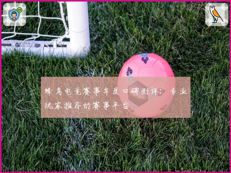 蜂鸟电竞赛事年度口碑测评：专业玩家推荐的赛事平台