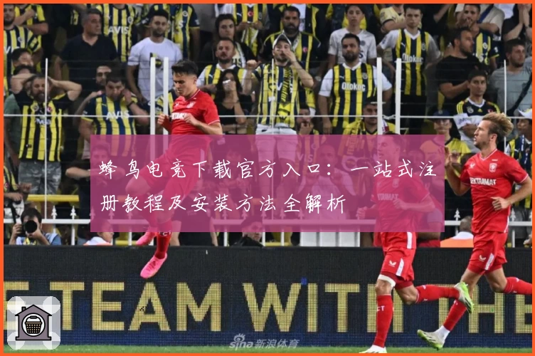 蜂鸟电竞下载官方入口：一站式注册教程及安装方法全解析