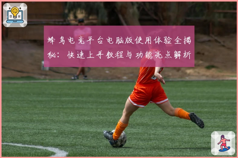 蜂鸟电竞平台电脑版使用体验全揭秘：快速上手教程与功能亮点解析