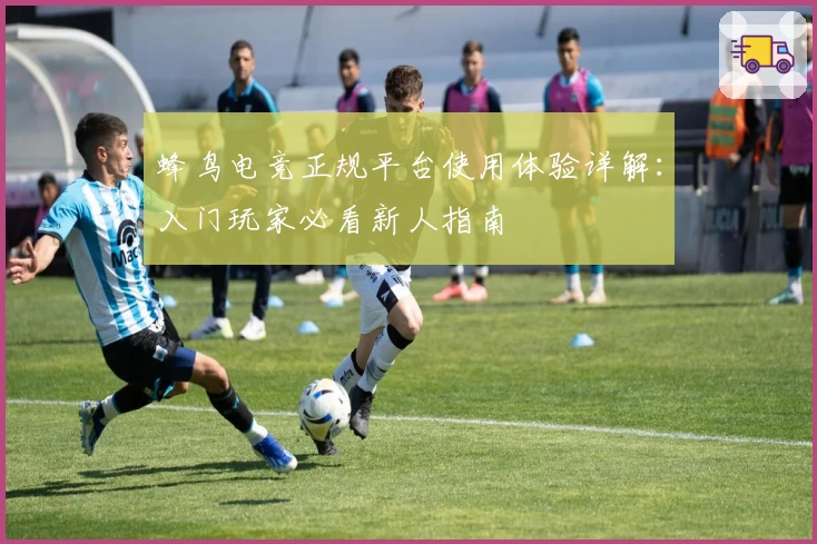 蜂鸟电竞正规平台使用体验详解：入门玩家必看新人指南