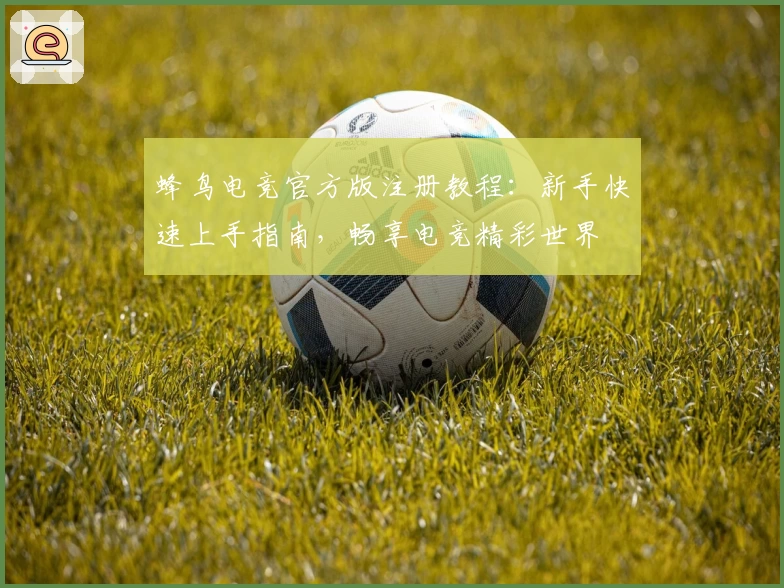 蜂鸟电竞官方版注册教程：新手快速上手指南，畅享电竞精彩世界