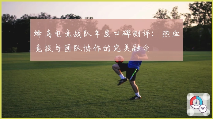 蜂鸟电竞战队年度口碑测评：热血竞技与团队协作的完美融合