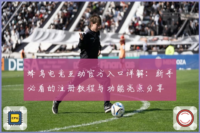 蜂鸟电竞互动官方入口详解：新手必看的注册教程与功能亮点分享