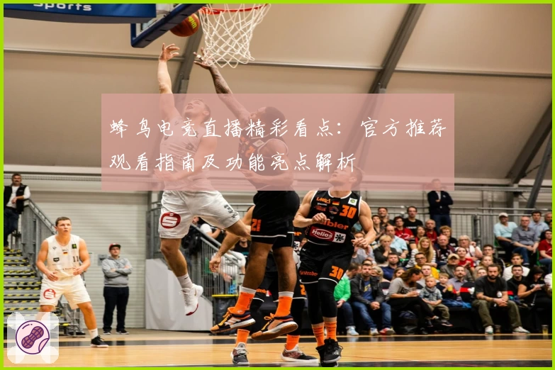 蜂鸟电竞直播精彩看点：官方推荐观看指南及功能亮点解析