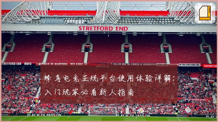 蜂鸟电竞正规平台使用体验详解：入门玩家必看新人指南
