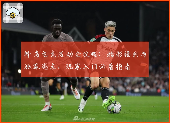 蜂鸟电竞活动全攻略：精彩福利与独家亮点，玩家入门必看指南